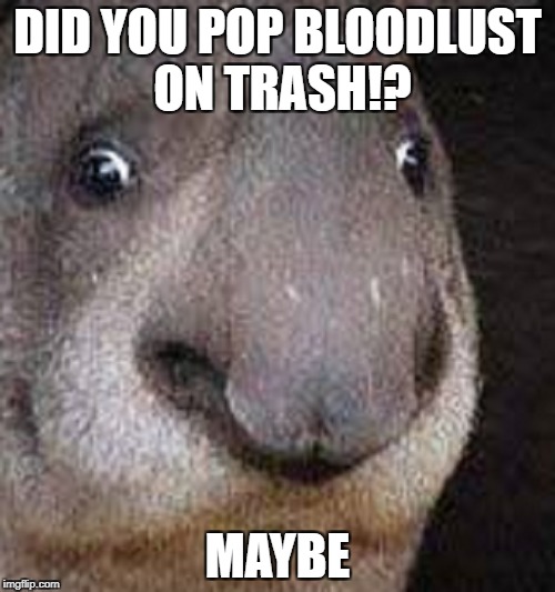 Maybe I did | DID YOU POP BLOODLUST ON TRASH!? MAYBE | image tagged in world of warcraft | made w/ Imgflip meme maker