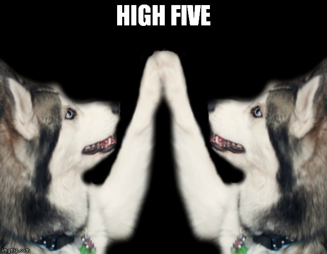 HIGH FIVE | made w/ Imgflip meme maker