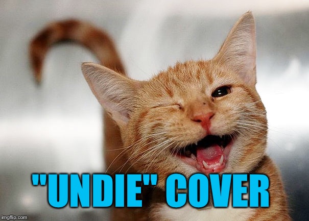 "UNDIE" COVER | made w/ Imgflip meme maker