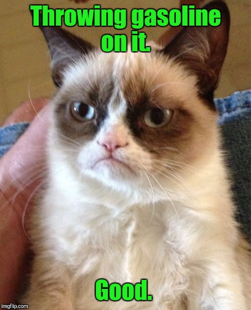 Grumpy Cat Meme Imgflip