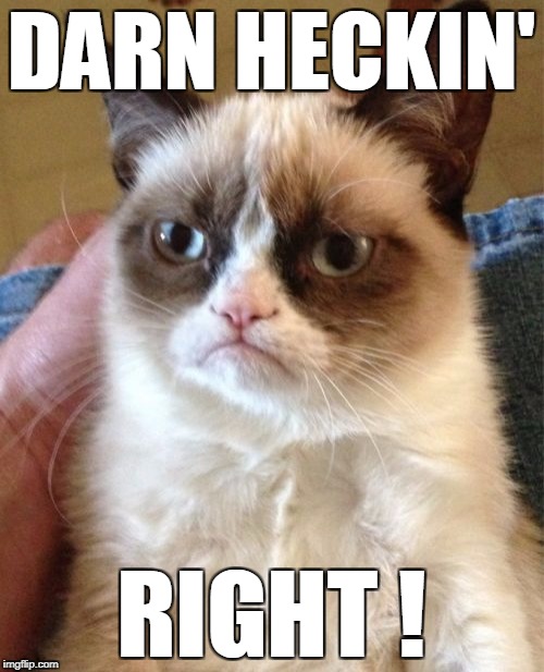 Grumpy Cat Meme | DARN HECKIN' RIGHT ! | image tagged in memes,grumpy cat | made w/ Imgflip meme maker