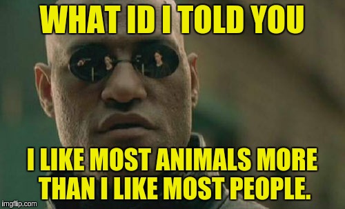 Matrix Morpheus Meme | WHAT ID I TOLD YOU; I LIKE MOST ANIMALS MORE THAN I LIKE MOST PEOPLE. | image tagged in memes,matrix morpheus | made w/ Imgflip meme maker
