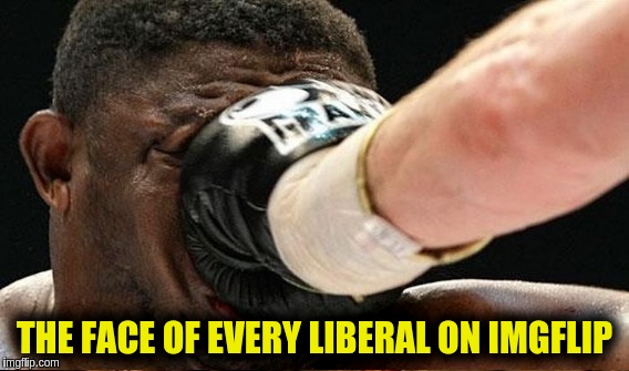 Get over it already...Trump IS the president of the United States!  MAGA! | THE FACE OF EVERY LIBERAL ON IMGFLIP | image tagged in liberals | made w/ Imgflip meme maker