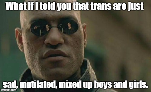 Response to Lamemememaker | What if I told you that trans are just; sad, mutilated, mixed up boys and girls. | image tagged in memes,matrix morpheus,transgender | made w/ Imgflip meme maker