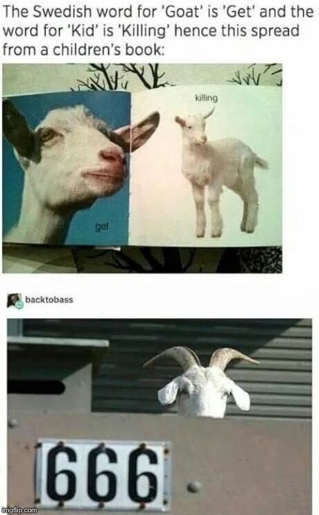 Those Darn Devil Goats... | image tagged in goat,666 | made w/ Imgflip meme maker