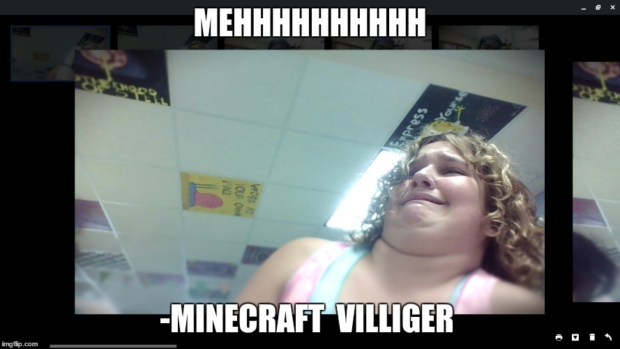 MEHHHHHHHHHH; -MINECRAFT  VILLIGER | image tagged in minecraft | made w/ Imgflip meme maker