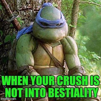C'mon April Just the Tip... | WHEN YOUR CRUSH IS NOT INTO BESTIALITY | image tagged in sad ninja turtle | made w/ Imgflip meme maker