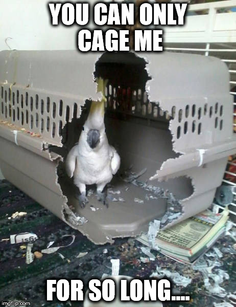 [Image: 1xwtzb.jpg]