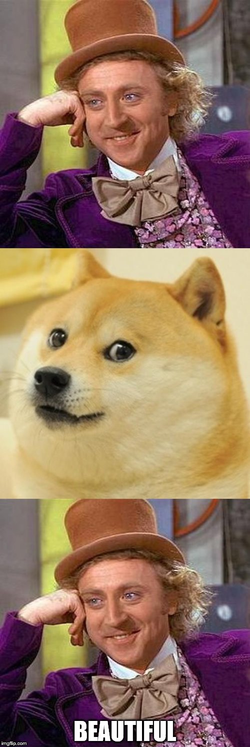 BEAUTIFUL | image tagged in doge | made w/ Imgflip meme maker