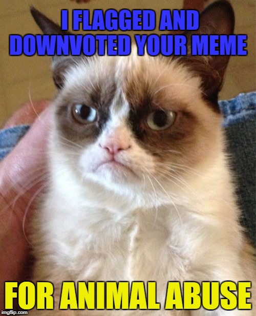 Grumpy Cat Meme | I FLAGGED AND DOWNVOTED YOUR MEME FOR ANIMAL ABUSE | image tagged in memes,grumpy cat | made w/ Imgflip meme maker