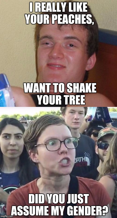 It's just a song... Chill out | I REALLY LIKE YOUR PEACHES, WANT TO SHAKE YOUR TREE; DID YOU JUST ASSUME MY GENDER? | image tagged in 10 guy,triggered liberal | made w/ Imgflip meme maker