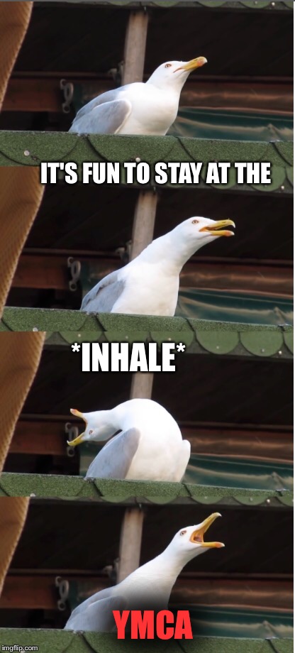 IT'S FUN TO STAY AT THE; *INHALE*; YMCA | image tagged in inhaling seagull,meme | made w/ Imgflip meme maker