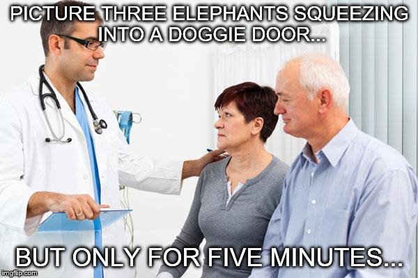 How people view doctors | PICTURE THREE ELEPHANTS SQUEEZING INTO A DOGGIE DOOR... BUT ONLY FOR FIVE MINUTES... | image tagged in how people view doctors | made w/ Imgflip meme maker