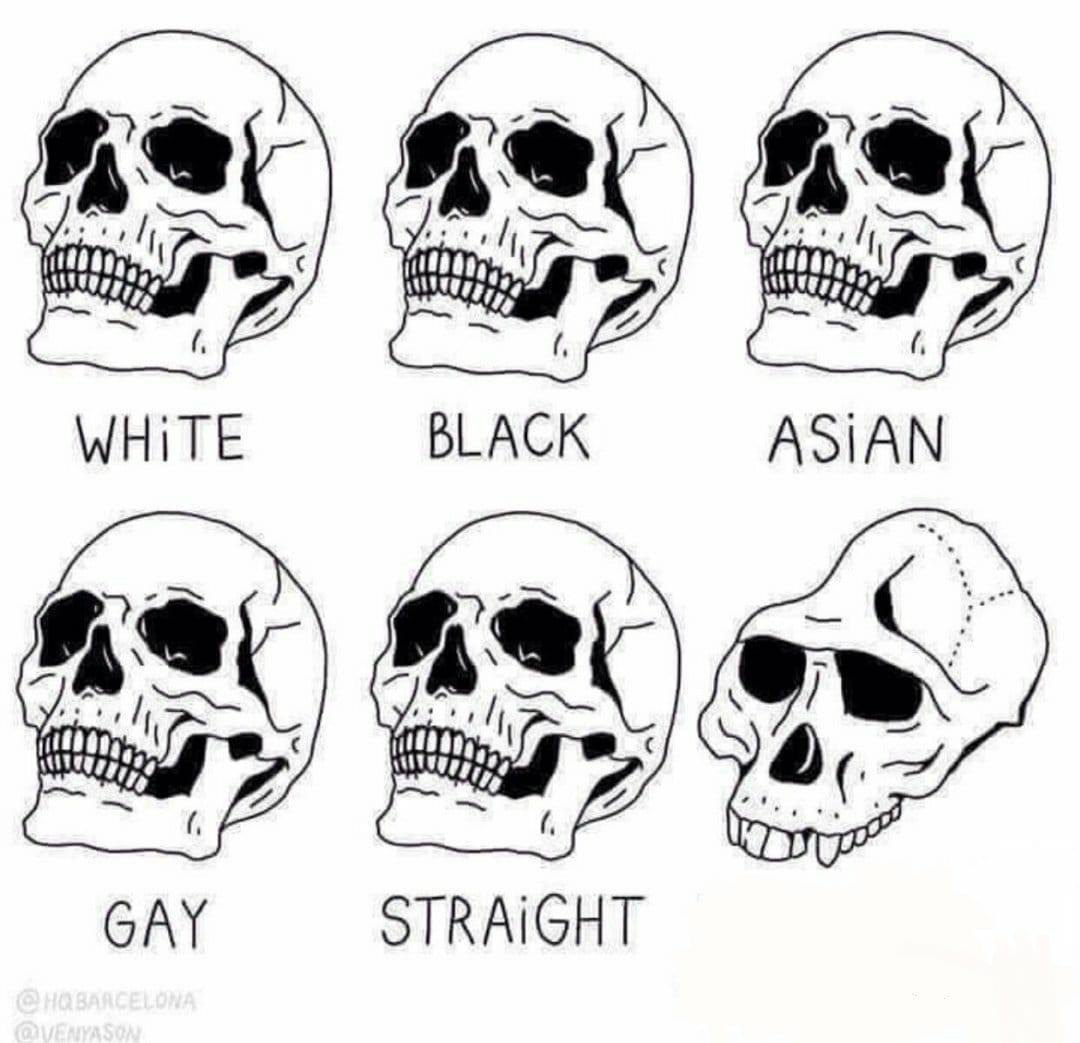 High Quality retarded caveman skulls Blank Meme Template