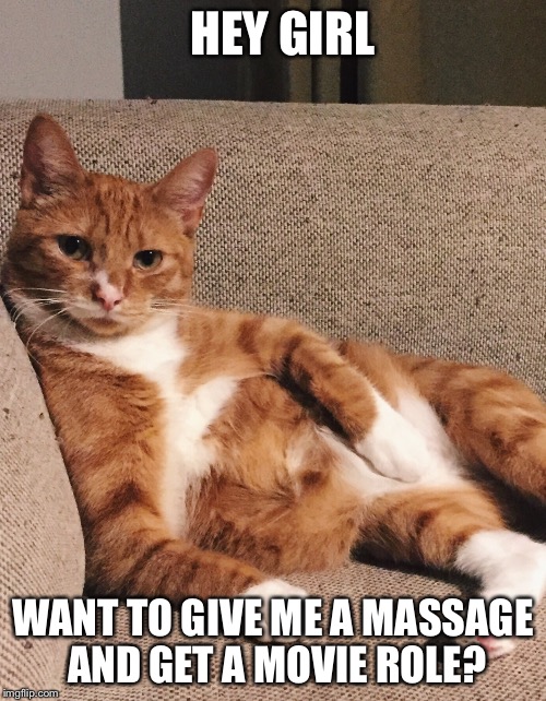 Hey weinstein  | HEY GIRL; WANT TO GIVE ME A MASSAGE AND GET A MOVIE ROLE? | image tagged in hey girl,harvey weinstein,weinstein,cats,sexy cat | made w/ Imgflip meme maker