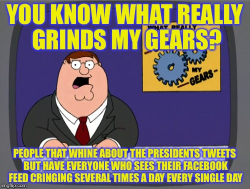 Peter Griffin News | YOU KNOW WHAT REALLY GRINDS MY GEARS? PEOPLE THAT WHINE ABOUT THE PRESIDENTS TWEETS BUT HAVE EVERYONE WHO SEES THEIR FACEBOOK FEED CRINGING SEVERAL TIMES A DAY EVERY SINGLE DAY | image tagged in memes,peter griffin news | made w/ Imgflip meme maker
