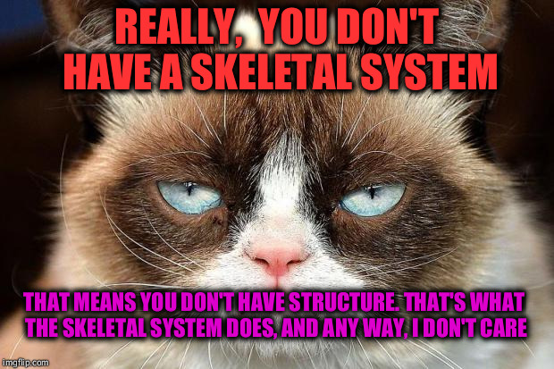 Grumpy Cat Not Amused Meme | REALLY,  YOU DON'T HAVE A SKELETAL SYSTEM; THAT MEANS YOU DON'T HAVE STRUCTURE. THAT'S WHAT THE SKELETAL SYSTEM DOES, AND ANY WAY, I DON'T CARE | image tagged in memes,grumpy cat not amused,grumpy cat | made w/ Imgflip meme maker