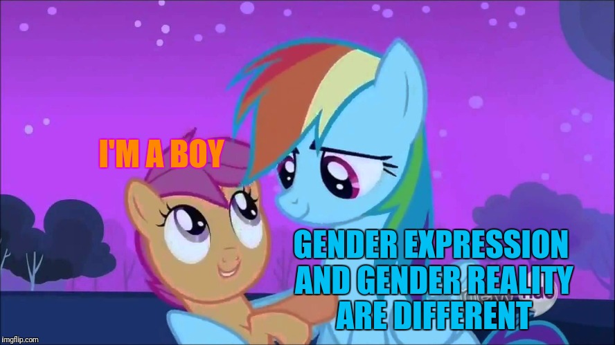 I'M A BOY GENDER EXPRESSION AND GENDER REALITY ARE DIFFERENT | made w/ Imgflip meme maker
