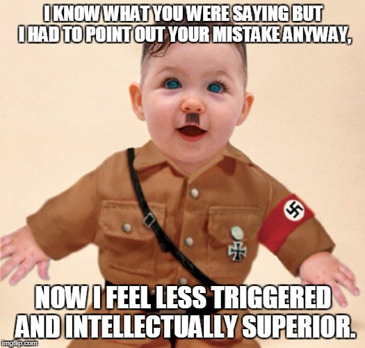 baby grammar Nazi  | I KNOW WHAT YOU WERE SAYING BUT I HAD TO POINT OUT YOUR MISTAKE ANYWAY, NOW I FEEL LESS TRIGGERED AND INTELLECTUALLY SUPERIOR. | image tagged in baby grammar nazi | made w/ Imgflip meme maker