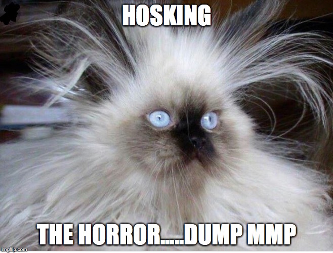 Frazzled over politics | HOSKING; THE HORROR.....DUMP MMP | image tagged in frazzled over politics | made w/ Imgflip meme maker