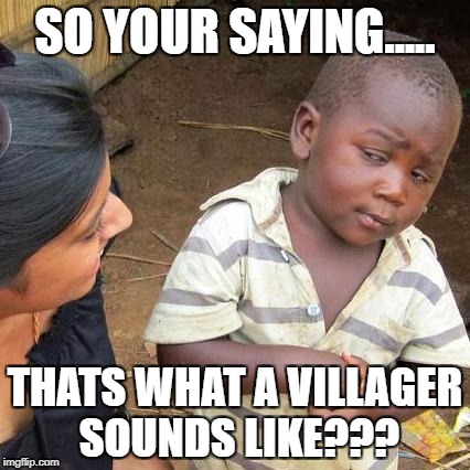 Third World Skeptical Kid Meme | SO YOUR SAYING..... THATS WHAT A VILLAGER SOUNDS LIKE??? | image tagged in memes,third world skeptical kid | made w/ Imgflip meme maker