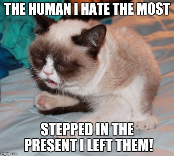 THE HUMAN I HATE THE MOST; STEPPED IN THE PRESENT I LEFT THEM! | image tagged in grumpy cat | made w/ Imgflip meme maker