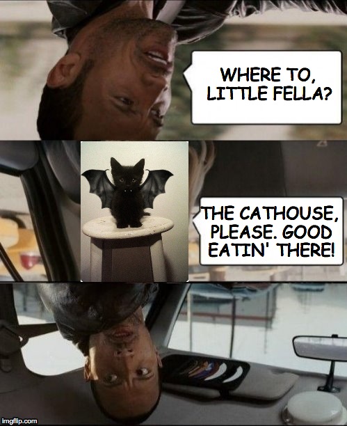Happy Halloween! | WHERE TO, LITTLE FELLA? THE CATHOUSE, PLEASE. GOOD EATIN' THERE! | image tagged in the rock driving | made w/ Imgflip meme maker