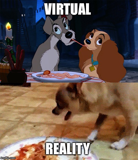 VIRTUAL; REALITY | image tagged in funny dog | made w/ Imgflip meme maker