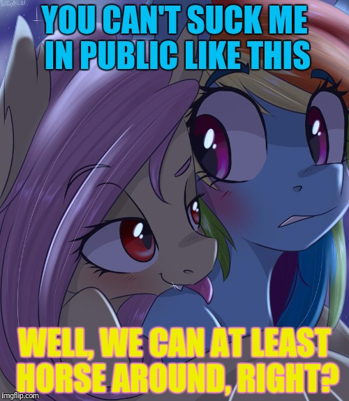 YOU CAN'T SUCK ME IN PUBLIC LIKE THIS WELL, WE CAN AT LEAST HORSE AROUND, RIGHT? | made w/ Imgflip meme maker