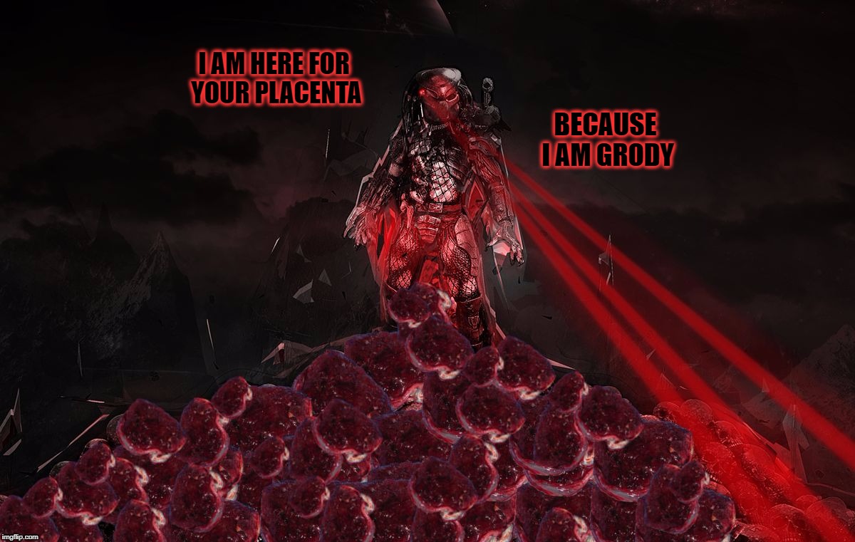 I AM HERE FOR YOUR PLACENTA; BECAUSE I AM GRODY | image tagged in predatorplacenta | made w/ Imgflip meme maker