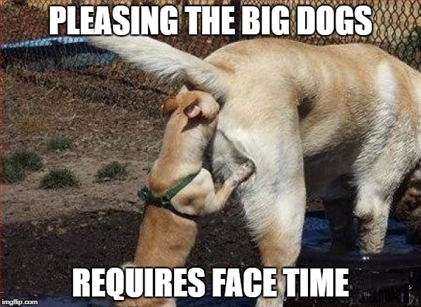 Doggy Style | PLEASING THE BIG DOGS; REQUIRES FACE TIME | image tagged in funny dogs,dog week | made w/ Imgflip meme maker