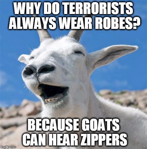 Zip Zip. |  WHY DO TERRORISTS ALWAYS WEAR ROBES? BECAUSE GOATS CAN HEAR ZIPPERS | image tagged in memes,laughing goat | made w/ Imgflip meme maker