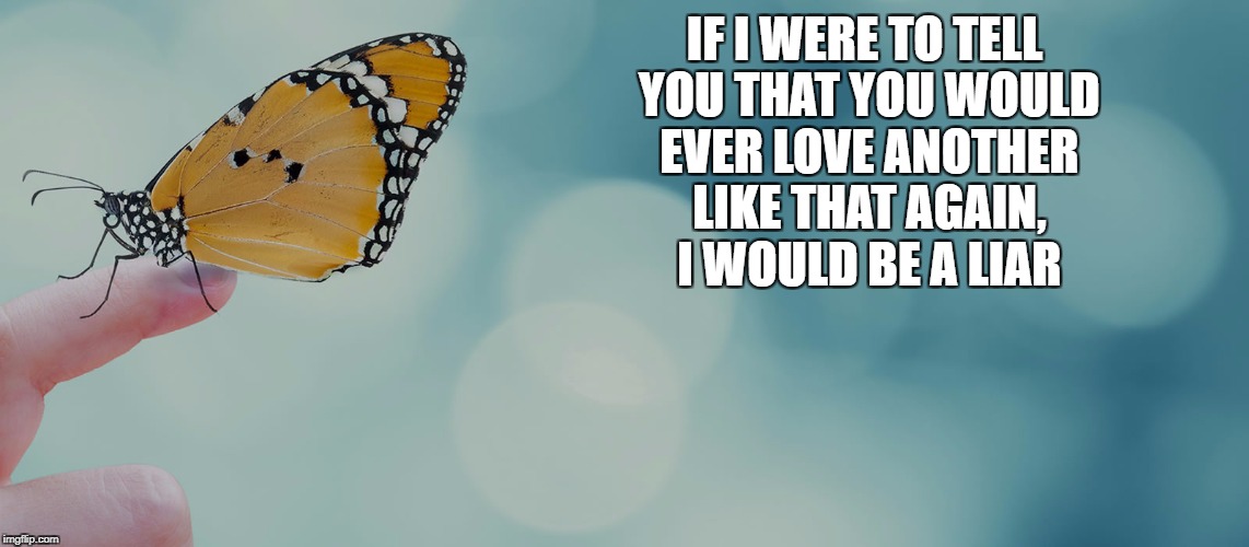 IF I WERE TO TELL YOU THAT YOU WOULD EVER LOVE ANOTHER LIKE THAT AGAIN, I WOULD BE A LIAR | image tagged in butterfly,love,poetry,finger | made w/ Imgflip meme maker