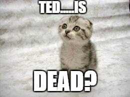 Sad Cat Meme | TED.....IS; DEAD? | image tagged in memes,sad cat | made w/ Imgflip meme maker
