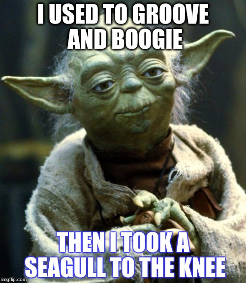 Star Wars Yoda | I USED TO GROOVE AND BOOGIE; THEN I TOOK A SEAGULL TO THE KNEE | image tagged in memes,star wars yoda | made w/ Imgflip meme maker