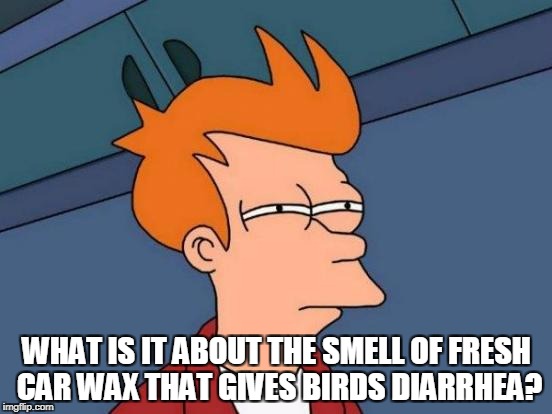 Futurama Fry Meme | WHAT IS IT ABOUT THE SMELL OF FRESH CAR WAX THAT GIVES BIRDS DIARRHEA? | image tagged in memes,futurama fry | made w/ Imgflip meme maker