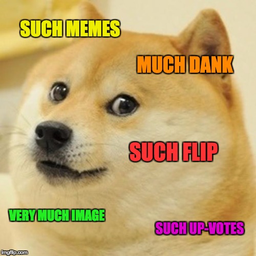 Such Image, Much Flip | SUCH MEMES; MUCH DANK; SUCH FLIP; VERY MUCH IMAGE; SUCH UP-VOTES | image tagged in memes,doge,breaking the fourth wall,doge confirms | made w/ Imgflip meme maker