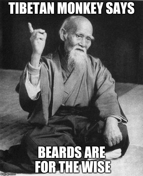 Confucius say | TIBETAN MONKEY SAYS; BEARDS ARE FOR THE WISE | image tagged in confucius say | made w/ Imgflip meme maker