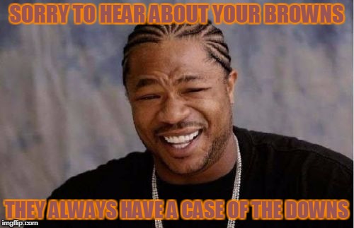 Yo Dawg Heard You Meme | SORRY TO HEAR ABOUT YOUR BROWNS THEY ALWAYS HAVE A CASE OF THE DOWNS | image tagged in memes,yo dawg heard you | made w/ Imgflip meme maker