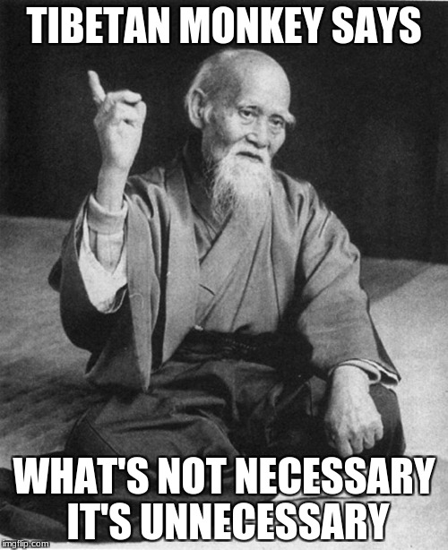 Confucius say | TIBETAN MONKEY SAYS; WHAT'S NOT NECESSARY IT'S UNNECESSARY | image tagged in confucius say | made w/ Imgflip meme maker