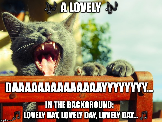 A Cat Named Withers | 🎶  A LOVELY  🎶; DAAAAAAAAAAAAAAYYYYYYYY... IN THE BACKGROUND:; 🎵  LOVELY DAY, LOVELY DAY, LOVELY DAY... 🎵 | image tagged in screamcat,memes,long note | made w/ Imgflip meme maker