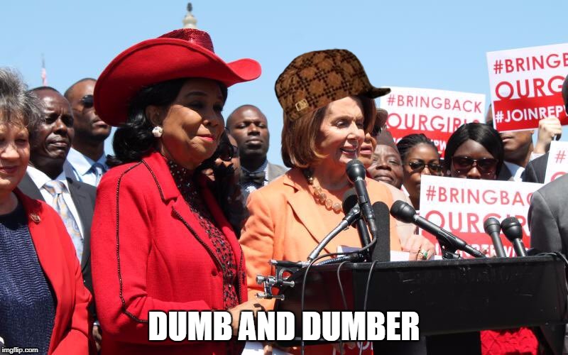 DUMB AND DUMBER | image tagged in dumb,scumbag | made w/ Imgflip meme maker