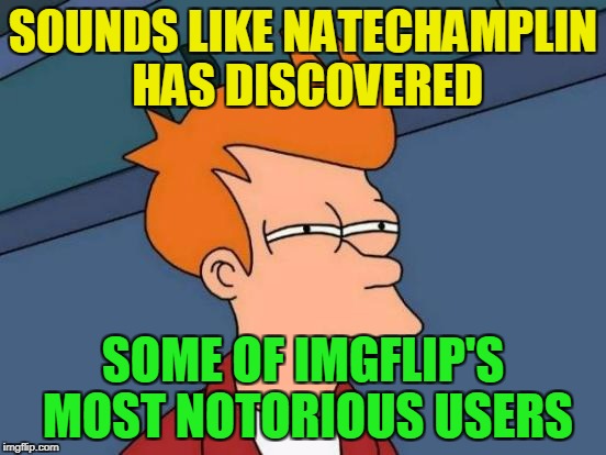 Futurama Fry Meme | SOUNDS LIKE NATECHAMPLIN HAS DISCOVERED SOME OF IMGFLIP'S MOST NOTORIOUS USERS | image tagged in memes,futurama fry | made w/ Imgflip meme maker