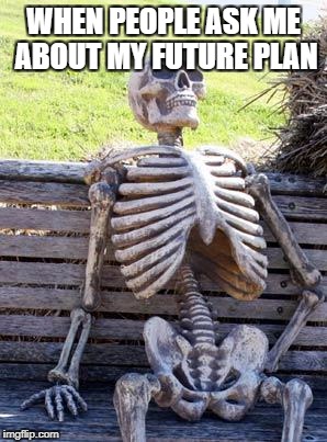 Waiting Skeleton Meme | WHEN PEOPLE ASK ME ABOUT MY FUTURE PLAN | image tagged in memes,waiting skeleton | made w/ Imgflip meme maker