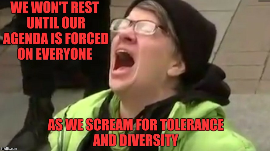 WE WON'T REST UNTIL OUR AGENDA IS FORCED ON EVERYONE AS WE SCREAM FOR TOLERANCE AND DIVERSITY | made w/ Imgflip meme maker
