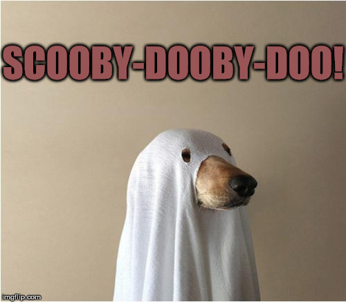 SCOOBY-DOOBY-DOO! | made w/ Imgflip meme maker