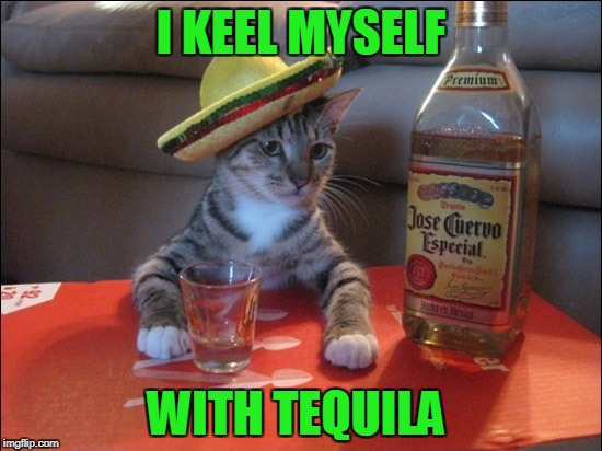 I KEEL MYSELF WITH TEQUILA | made w/ Imgflip meme maker