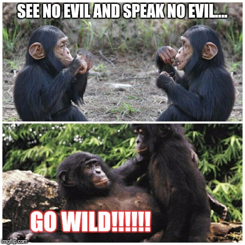 See no evil | SEE NO EVIL AND SPEAK NO EVIL.... GO WILD!!!!!! | image tagged in evil,chimp,animals,memes,wildlife,wild | made w/ Imgflip meme maker