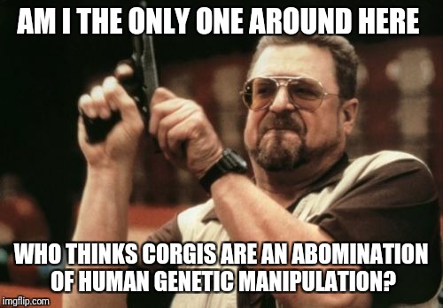 Am I The Only One Around Here Meme | AM I THE ONLY ONE AROUND HERE; WHO THINKS CORGIS ARE AN ABOMINATION OF HUMAN GENETIC MANIPULATION? | image tagged in memes,am i the only one around here | made w/ Imgflip meme maker