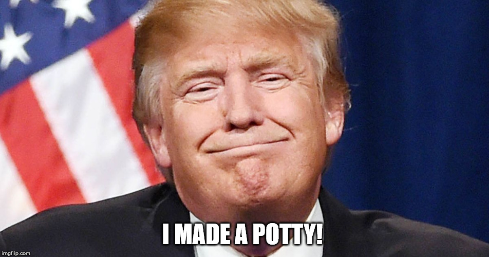 I MADE A POTTY! | image tagged in donald trump,big boy | made w/ Imgflip meme maker